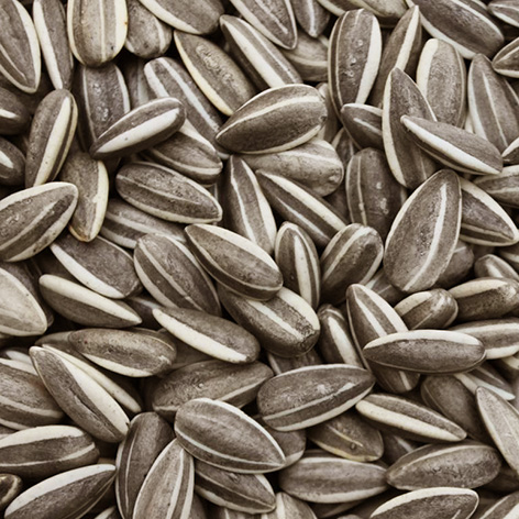 Pipas Extra Tostada 1k