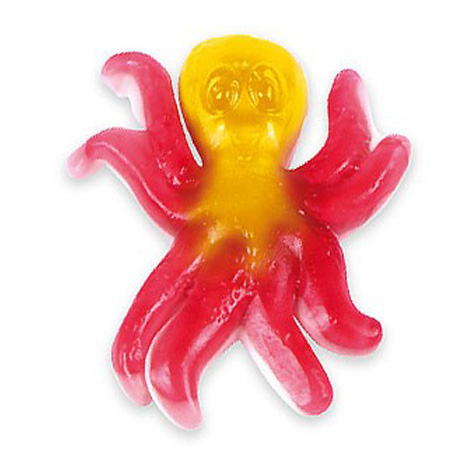 Pulpo Campeon B-1k Fini