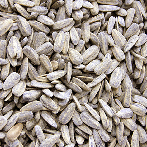 [05401] Pipas De Girasol Sal 3k La Baturrica