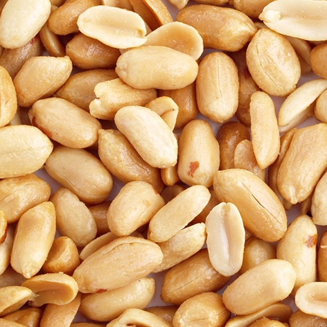 [08413671013323] Cacahuete 24 Uds Facundo