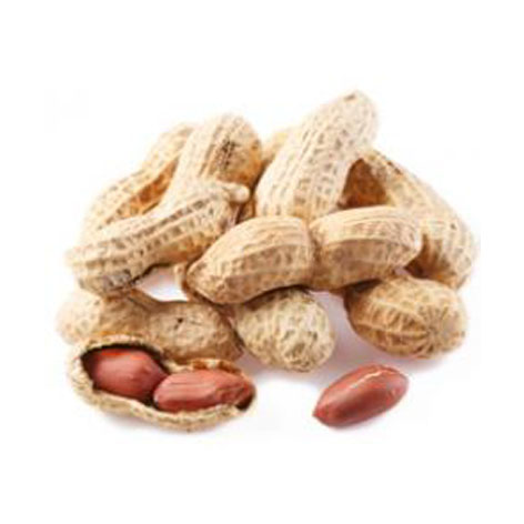 [8410573040570] Cacahuete Cascara Brasil Sal 65gr 25u/