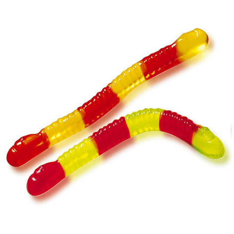 [8413178116206] Gusanos Bicefalos Jl B-1kg Vidal